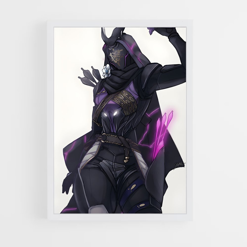 Poster Shadow Guardian – affiche Destiny (vue 3)